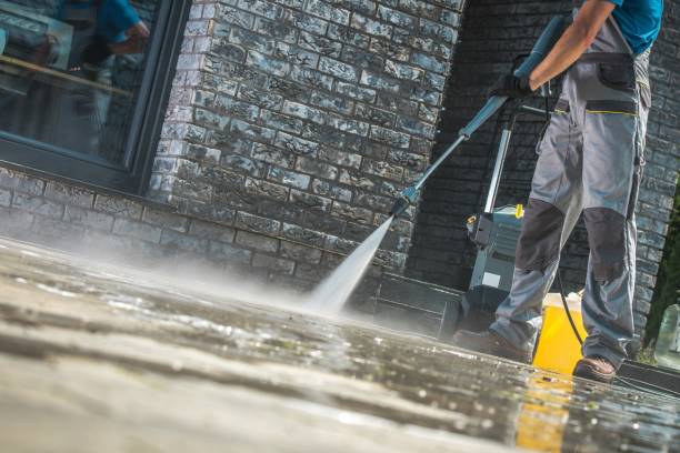 Best Animal Enclosure Cleaning  in Winnsboro, TX