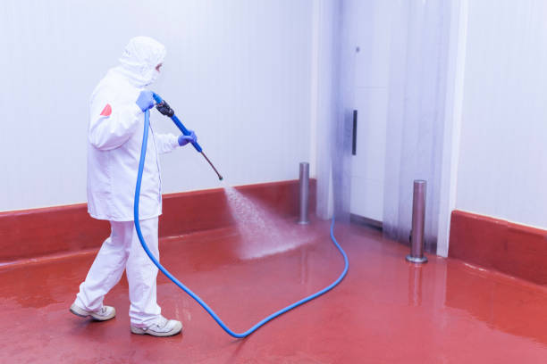  Winnsboro, TX Pressure Washing Pros